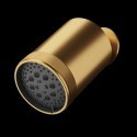 Tête de douche wellness MGS - Garnitures de douche MGS (96.250.04.)